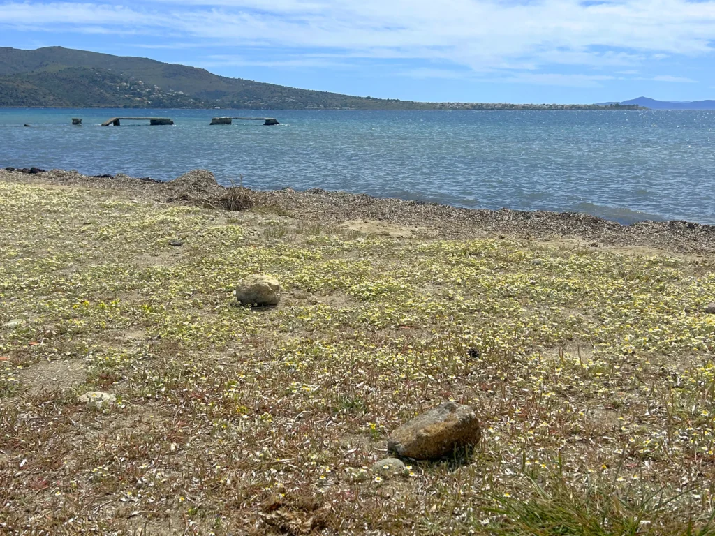 Isla de Moni en Egina Grecia