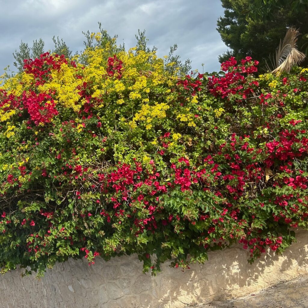 Primavera en Egina senderos y pueblos