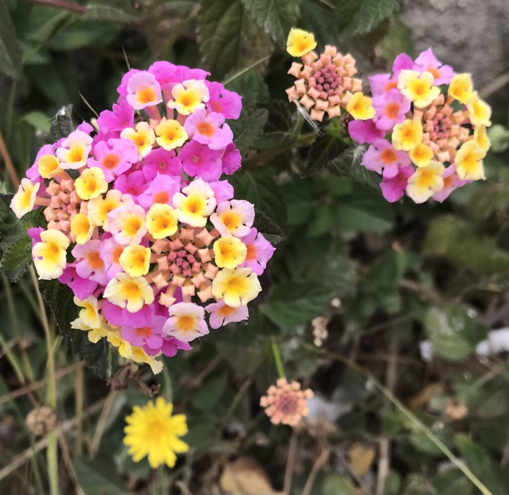 escapada a Egina en primavera