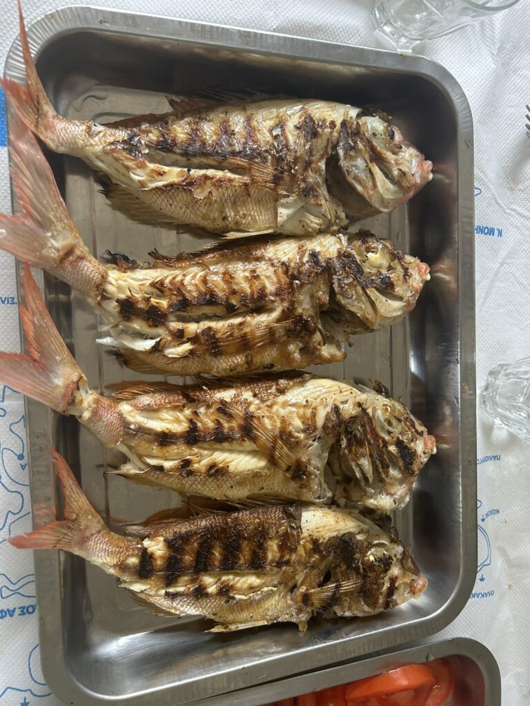 Pescado del Golfo Sarónico